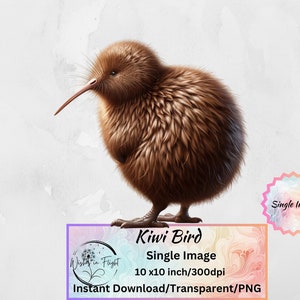 Kiwi Bird PNG Trasparente Clip art Download istantaneo/Stampa digitale Uso commerciale/Kiwiana/Stampa uccello neozelandese
