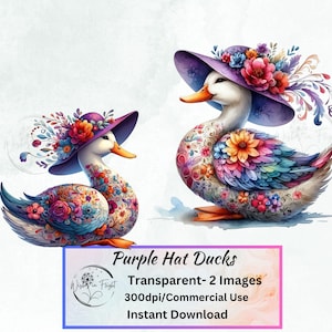 Imágenes PNG de pato con sombrero morado, imágenes prediseñadas transparentes, álbum de recortes, amante de los animales, imágenes prediseñadas de pato lindo, arte de pared, imágenes prediseñadas individuales, imágenes prediseñadas PNG