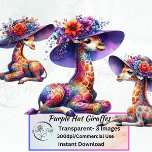 Imágenes PNG de jirafa con sombrero morado, imágenes prediseñadas transparentes, álbum de recortes, amante de los animales, linda jirafa bebé, arte de pared, imágenes prediseñadas individuales, arte PNG
