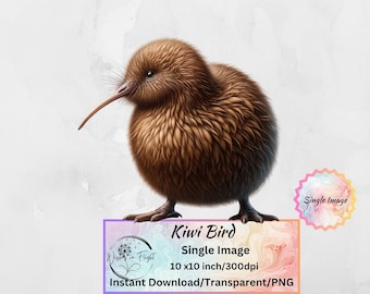 キウイ鳥 PNG 透明クリップアート 即時ダウンロード デジタルプリント 商用利用 キウイアナ ニュージーランドの鳥プリント - 日本