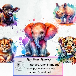 Imágenes PNG de los Cinco Grandes Bebés, Imágenes prediseñadas transparentes, Álbum de recortes, Amante de los animales, Vida silvestre, Arte mural, Imágenes prediseñadas individuales, Animales lindos