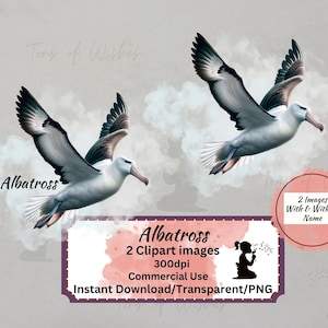 Albatros Transparent Clip art Nouvelle-Zélande Native Bird Téléchargement instantané Papier numérique Impression numérique Utilisation commerciale Images d’oiseaux imprimables