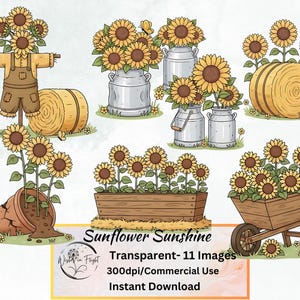 Zonnebloem clipartbundel, aquarel zonnebloemen png-set, zomerbloemen digitale download, rustieke bloemillustraties voor ambachten