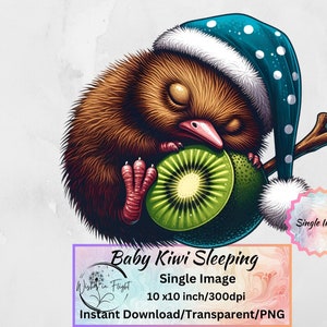 Kiwi Bird PNG Clip art trasparente Download immediato/Stampa digitale Uso commerciale/Kiwiana/Stampa uccello della Nuova Zelanda