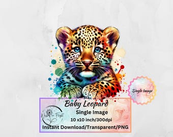 Baby Leopard Clip Art: Transparent PNG, Commercial Use