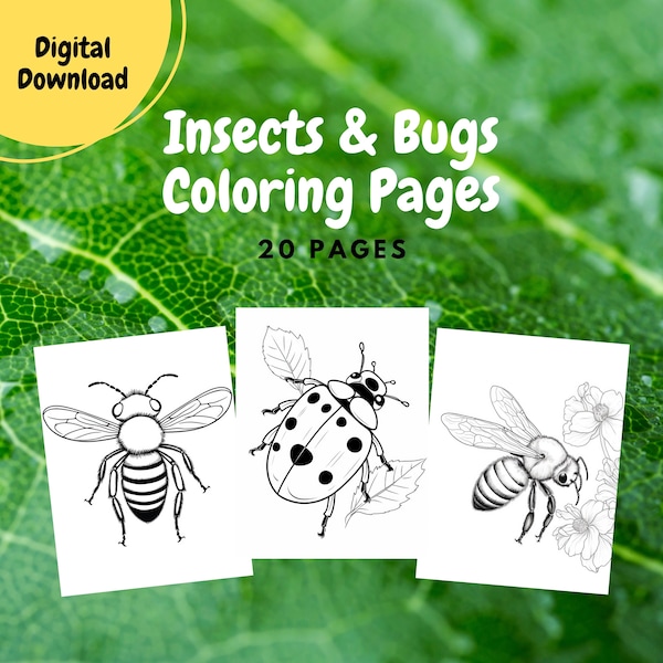 Insects and Bugs Coloring Pages for Kids and Toddlers, 20 Coloring Pages, Coloring Book, Activity Sheets, Party Activities, Printable