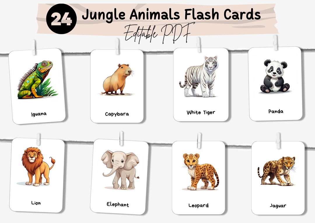 Jungle Animals Flash Cards 24 Editable Montessori Cards Etsy