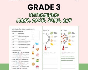 English Grammar Worksheets Determiner A1-Level Digital Download