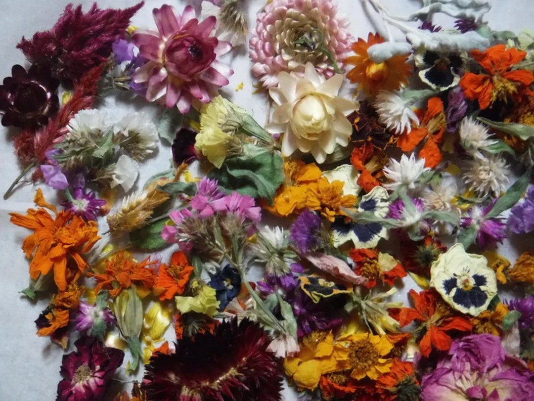 Resin Flowers Whole Dried Flowers Craft Bulk Flowers Table Etsy