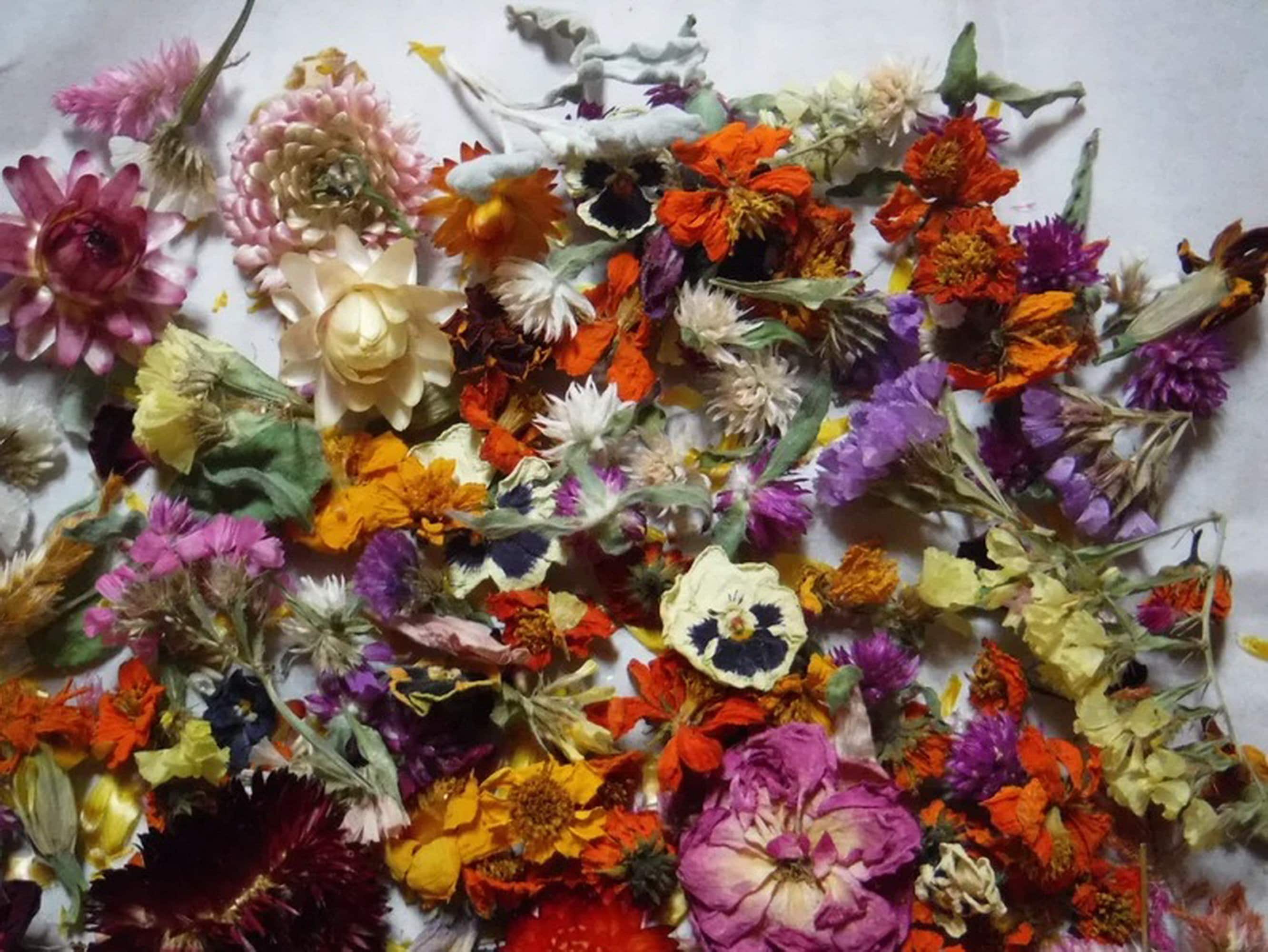Resin Flowers Whole Dried Flowers Craft Bulk Flowers Table Etsy
