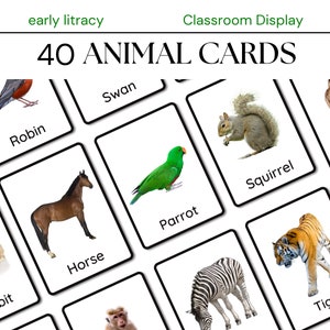 40 Animals Cards | Montessori Flash Card | Real Pictures Cards | Educational Preschool Printable Card | Farm, wild Animal Cards for Toddlers