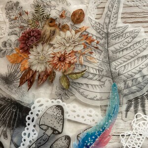 May include: A set of vintage-style botanical and floral stickers, including a bird, mushrooms, leaves, and lace. The stickers are printed on clear, translucent paper and are perfect for adding a touch of whimsy to your crafts.
