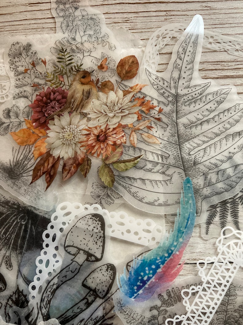 May include: A set of vintage-style botanical and floral stickers, including a bird, mushrooms, leaves, and lace. The stickers are printed on clear, translucent paper and are perfect for adding a touch of whimsy to your crafts.