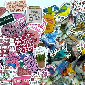Pacchetto di adesivi "Ali di Positività", 100 adesivi, adesivi vintage con uccelli, farfalle e citazioni, adesivi per diario, planner, scrapbooking, laptop
