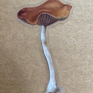 May include: A brown mushroom with a white stem. The mushroom has a textured cap and a slightly curved stem.