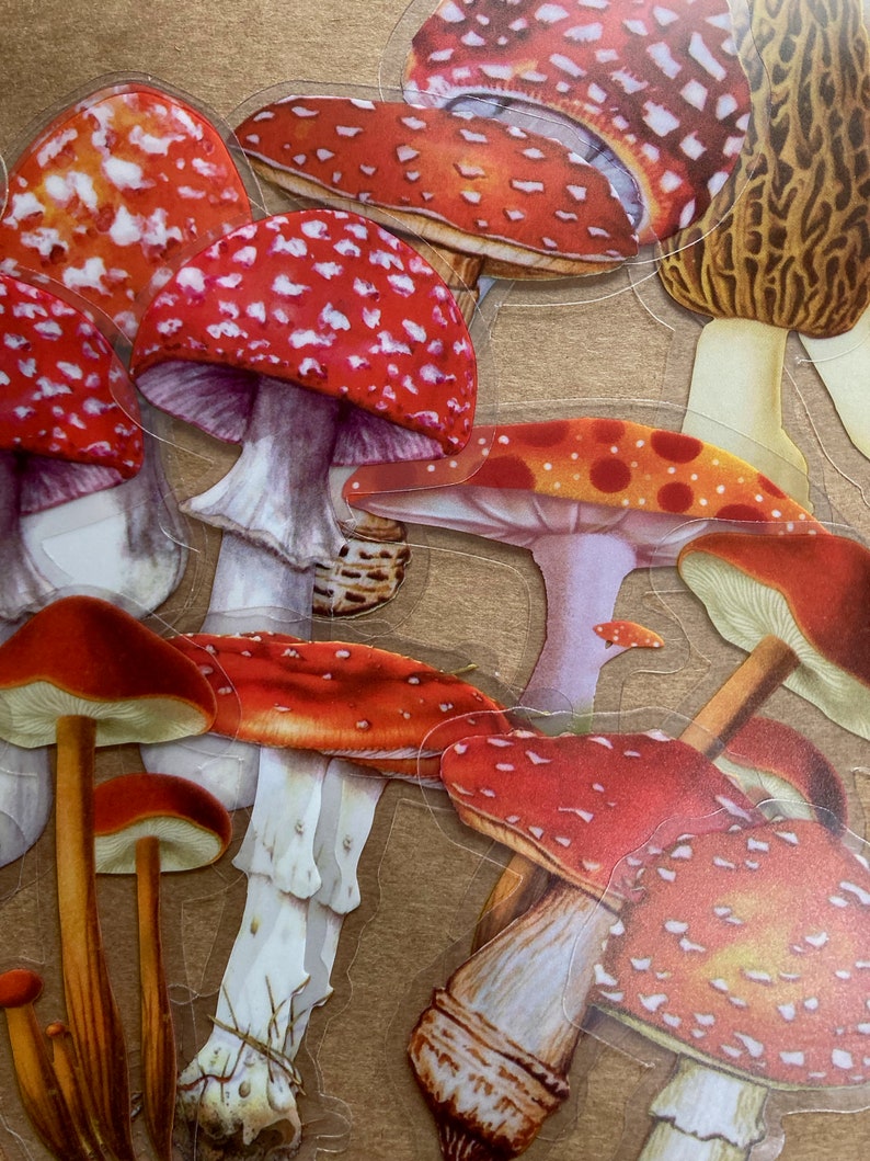 May include: A collection of red and white mushroom stickers with white spots. The stickers are on a brown background.