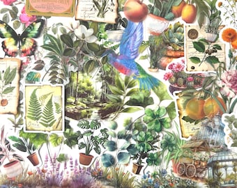 50 Green Plants & Foliage Sticker Pack: Vintage Scrapbook Stickers, 50 Piece