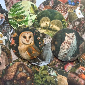 25 Forest Wildtier-Aufkleber, grüne Handwerksaufkleber für Journaling, Planer, Scrapbooking, Laptops