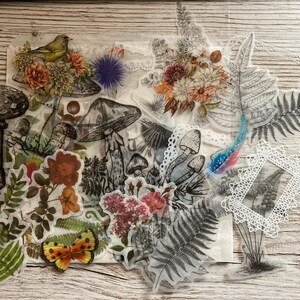 May include: A collection of clear, transparent stickers featuring various botanical illustrations. The stickers include mushrooms, ferns, flowers, butterflies, and a bird. The stickers are perfect for adding a touch of nature to journals, planners, and other craft projects.