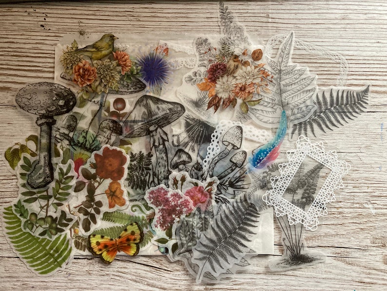 May include: A collection of clear, transparent stickers featuring various botanical illustrations. The stickers include mushrooms, ferns, flowers, butterflies, and a bird. The stickers are perfect for adding a touch of nature to journals, planners, and other craft projects.