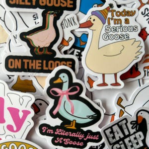 Puede incluir: Una colecci&oacute;n de pegatinas coloridas con dibujos de gansos. Algunas pegatinas tienen texto como "Silly Goose", "On the Loose" y "Today I'm a Serious Goose". Los gansos se representan en varias poses y estilos.