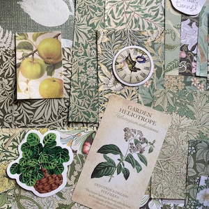 65 itens, Pacote de arte verde mista, Pacotes de papel, Papel de diário de lixo, Pacote de suprimentos para artesanato, Terapia de arte, Criação de cartões botânicos
