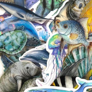 50 Sea Life Sticker Pack: Ocean Theme Scrapbook Stickers