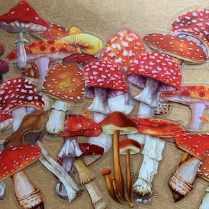 Lot de 20 autocollants transparents champignon vénéneux/champignons, autocollants artisanaux champignons pour tenir un journal, agendas, scrapbooking, ordinateurs portables