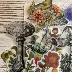 May include: A set of vintage-style botanical stickers featuring a mushroom, a bird, flowers, and leaves. The stickers are printed on clear, translucent paper and are perfect for adding a touch of whimsy to your crafts.