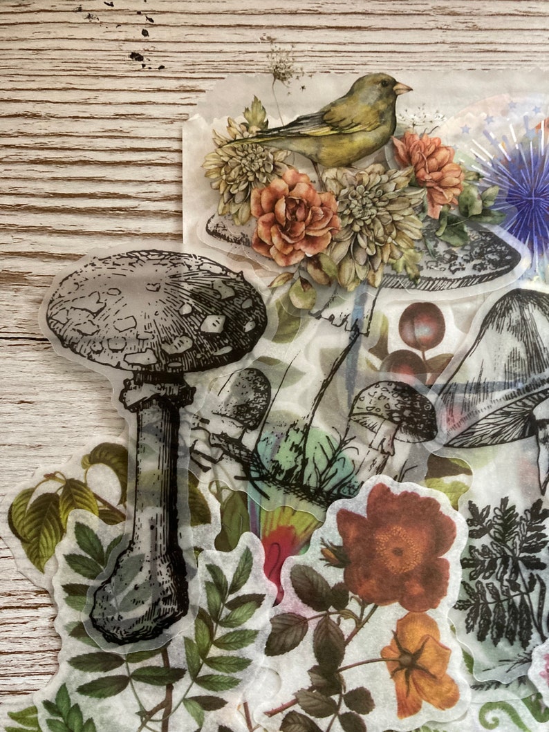 May include: A set of vintage-style botanical stickers featuring a mushroom, a bird, flowers, and leaves. The stickers are printed on clear, translucent paper and are perfect for adding a touch of whimsy to your crafts.