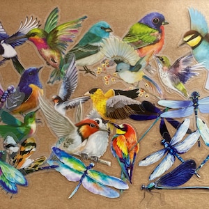Lot de 25 autocollants transparents oiseau/libellule, autocollants ailés pour tenir un journal, agendas, scrapbooking, ordinateurs portables, ornithologie