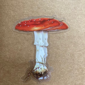 May include: A red and white mushroom sticker with white spots on the cap. The mushroom is depicted with a thick stem and roots.