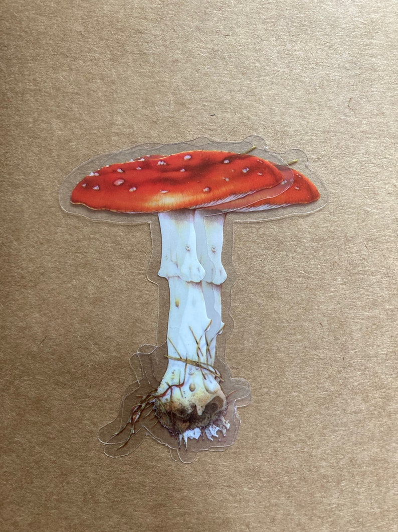 May include: A red and white mushroom sticker with white spots on the cap. The mushroom is depicted with a thick stem and roots.