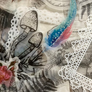 May include: A set of clear, translucent stickers featuring various botanical illustrations, including mushrooms, ferns, and a feather with blue and pink watercolor accents. The stickers are on a white background.