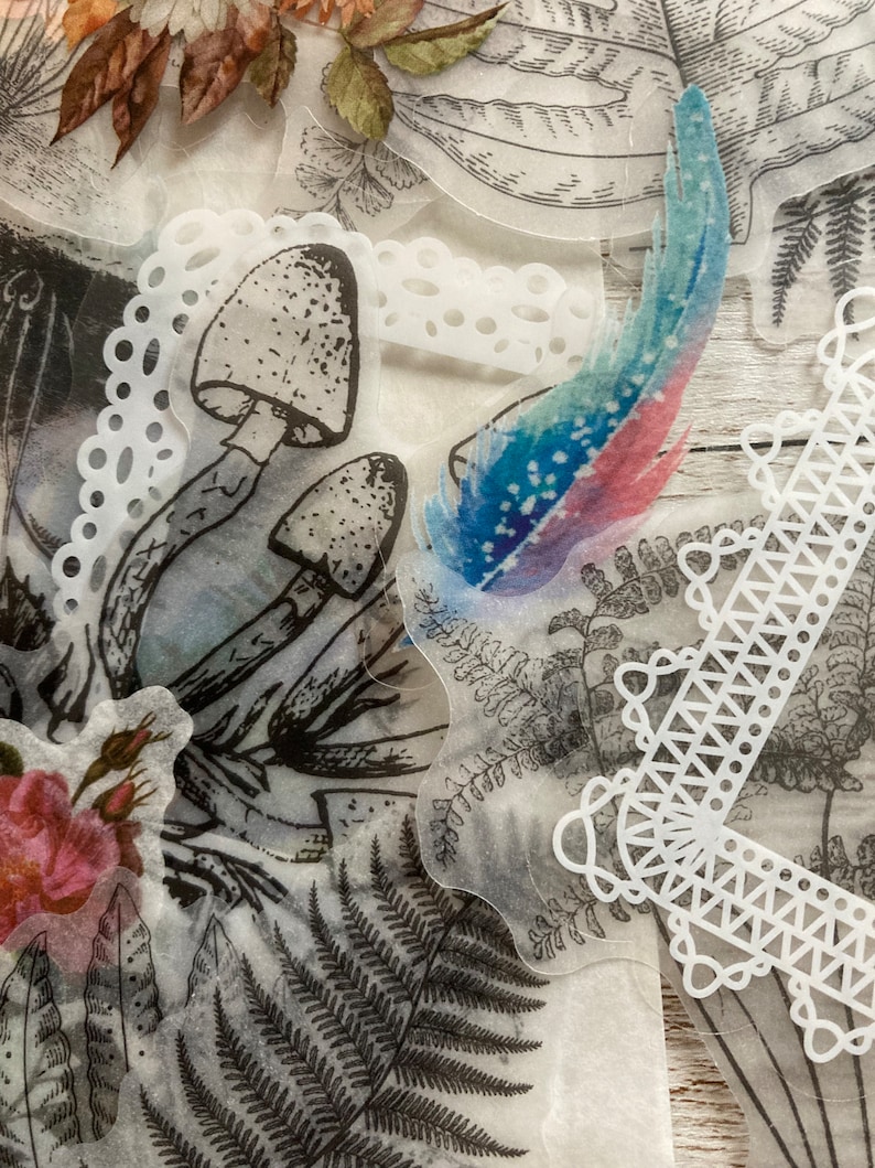 May include: A set of clear, translucent stickers featuring various botanical illustrations, including mushrooms, ferns, and a feather with blue and pink watercolor accents. The stickers are on a white background.