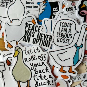 Puede incluir: Una colecci&oacute;n de pegatinas de vinilo blanco con dibujos de gansos y varias frases. Algunas pegatinas incluyen texto como "Peace was never an option" y "Today I am a serious goose".