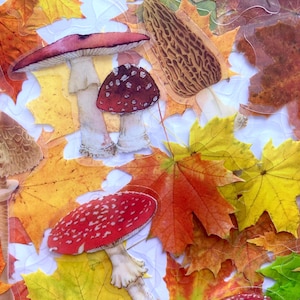Pacote com 25 adesivos da natureza, adesivos artesanais de outono para diário, planejadores, criação de cartões, scrapbooking, laptops
