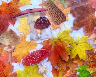 Paket med 25 klistermärken med naturen, höstpysselklistermärken för dagbok, planerare, korttillverkning, scrapbooking, bärbara datorer