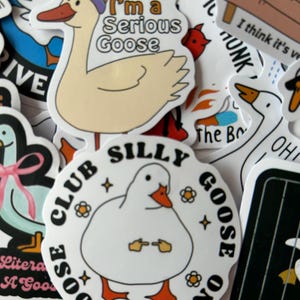 Puede incluir: Una colecci&oacute;n de pegatinas caprichosas con gansos de dibujos animados. Una pegatina muestra un ganso con un gorro de fiesta con el texto "Today I'm a Serious Goose". Otra pegatina dice "Club Silly Goose on the Loose."