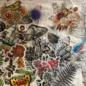 Paquete de 25/50 pegatinas transparentes, pegatinas en blanco y negro, conjunto botánico, diario, planificador, álbum de recortes