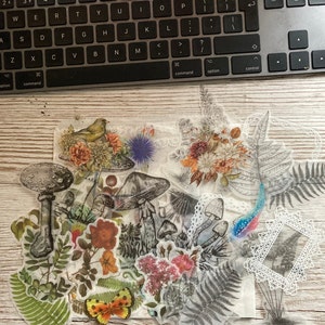 May include: A sheet of clear, translucent stickers featuring a variety of botanical illustrations. The stickers include mushrooms, ferns, flowers, and a small bird. The stickers are perfect for adding a touch of nature to journals, planners, and other craft projects.