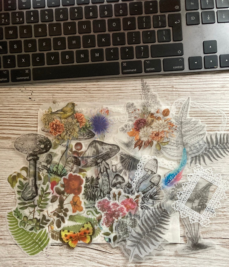 May include: A sheet of clear, translucent stickers featuring a variety of botanical illustrations. The stickers include mushrooms, ferns, flowers, and a small bird. The stickers are perfect for adding a touch of nature to journals, planners, and other craft projects.