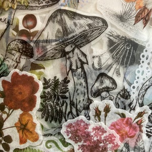 May include: A collection of vintage botanical illustrations featuring mushrooms, ferns, flowers, and butterflies. The illustrations are printed on translucent paper and have a delicate, hand-drawn aesthetic.