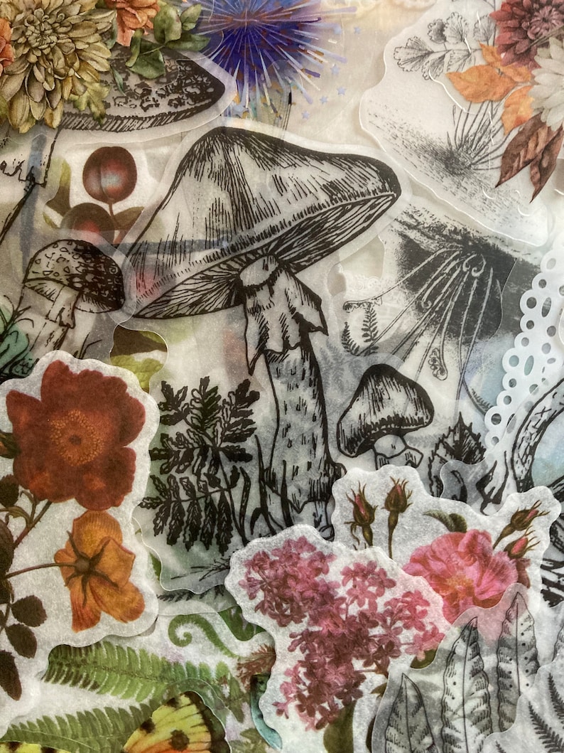 May include: A collection of vintage botanical illustrations featuring mushrooms, ferns, flowers, and butterflies. The illustrations are printed on translucent paper and have a delicate, hand-drawn aesthetic.