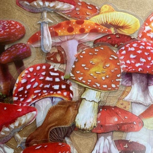 May include: A collection of red and white mushroom stickers with brown stems. The mushrooms are arranged in a random pattern and are all different sizes. The stickers are on a brown background.