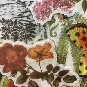 May include: A set of vintage-style botanical stickers featuring a butterfly, fern, flowers, and leaves. The stickers are printed on translucent paper and have a delicate, faded look.