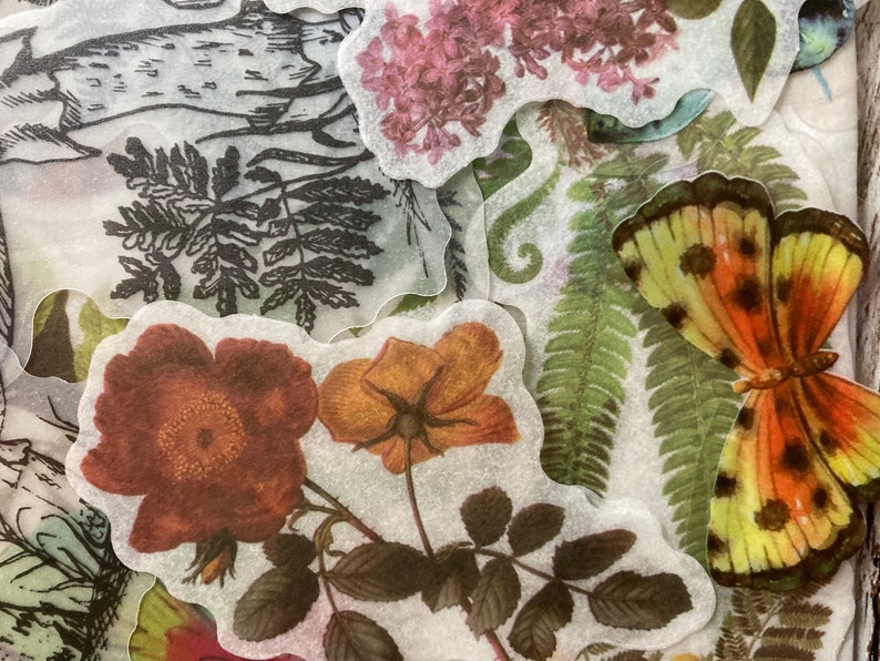May include: A set of vintage-style botanical stickers featuring a butterfly, fern, flowers, and leaves. The stickers are printed on translucent paper and have a delicate, faded look.
