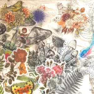 50 Transparent  Sticker Pack, Black & White Stickers, Botanical Set, Journalling Planner Scrapbooking