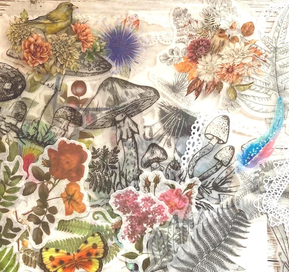 50 Transparent  Sticker Pack, Black & White Stickers, Botanical Set, Journalling Planner Scrapbooking