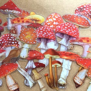 25 Transparent Toadstool / Mushroom Sticker Pack, Fungi Craft Stickers for Journalling, Planners, Scrapbooking, Laptops image 2